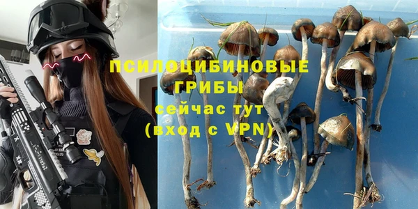 марки nbome Каменка