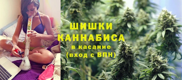 мет Карпинск