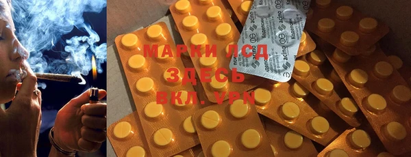 ПСИЛОЦИБИНОВЫЕ ГРИБЫ Каменногорск