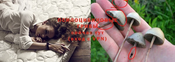 марки nbome Каменка