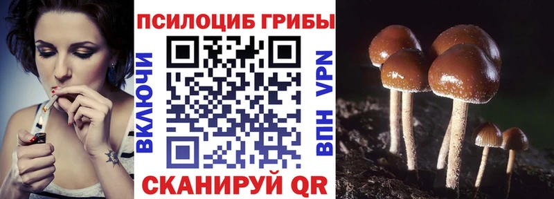 Галлюциногенные грибы Magic Shrooms  как найти наркотики  Ленинградская 